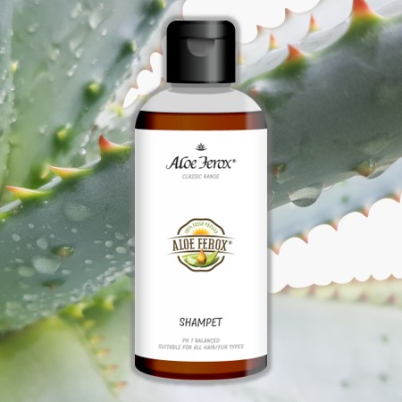 Pet Care Products